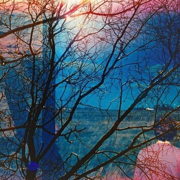 LP plošča Idlewild - Idlewild (180 g) (LP) - 1