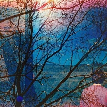 LP plošča Idlewild - Idlewild (Blue Smoke Coloured) (180 g) (LP) - 1