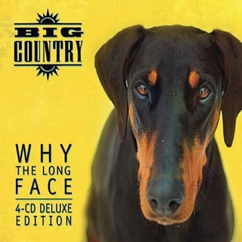 Music CD Big Country - Why The Long Face (Deluxe Edition) (4 CD) - 1