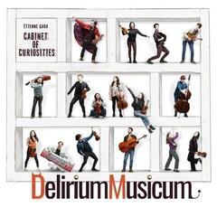 Muziek CD Etienne Gara, Delirium Musicum - Cabinet Of Curiosities (CD)