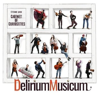 Music CD Etienne Gara, Delirium Musicum - Cabinet Of Curiosities (CD) - 1