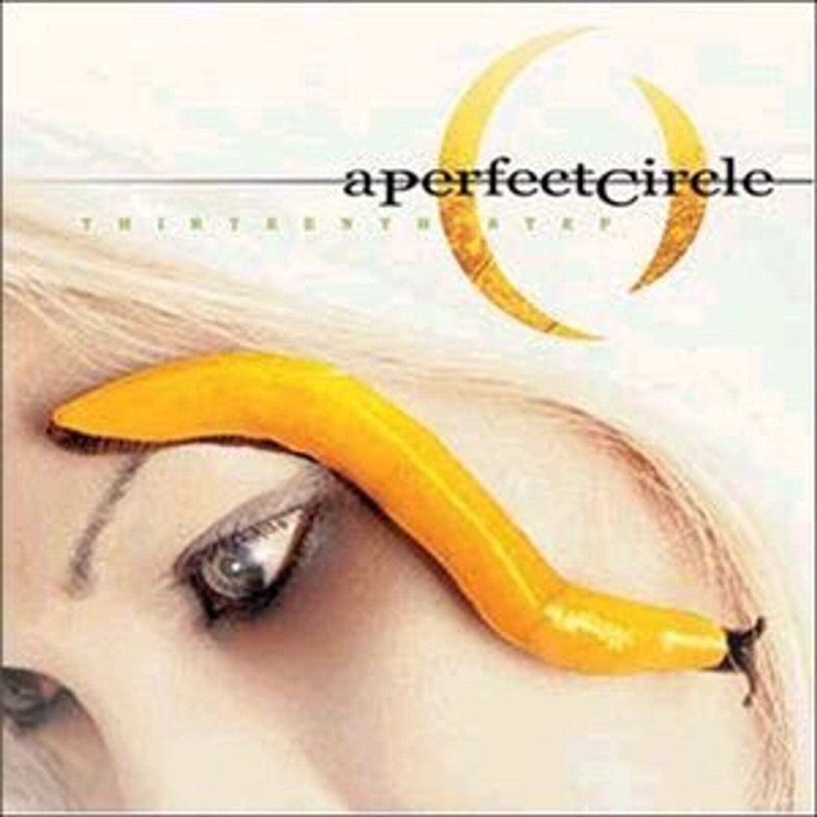 Грамофонна плоча A Perfect Circle - Thirteenth Step (2 LP)