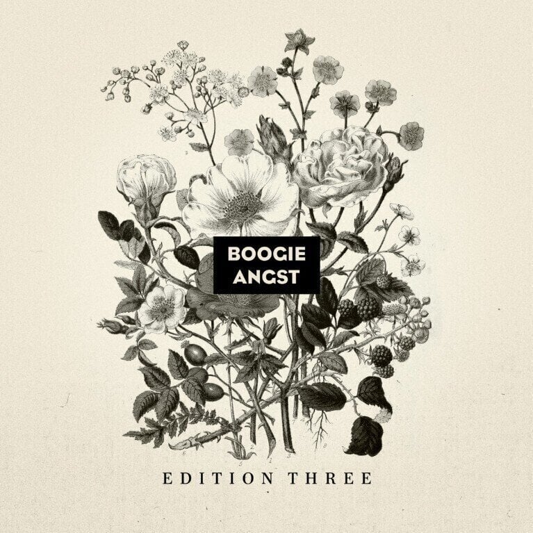 Vinylplade Various Artists - Boogie Angst: Edition Three (LP)