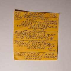 Vinyl Record Mac DeMarco - Here Comes The Cowboy Demos (LP)