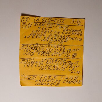 LP ploča Mac DeMarco - Here Comes The Cowboy Demos (LP) - 1