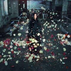 Vinüülplaat Logic1000 - Mother (2 LP)