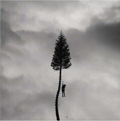 LP ploča Manchester Orchestra - A Black Mile To The Surface (Silver Coloured) (2 LP)