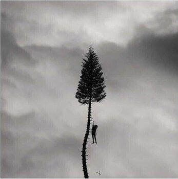 LP plošča Manchester Orchestra - A Black Mile To The Surface (Silver Coloured) (2 LP) - 1