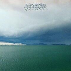 LP ploča Modest Mouse - The Fruit That Ate Itself (LP)