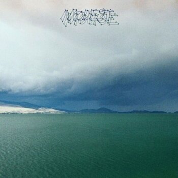 LP ploča Modest Mouse - The Fruit That Ate Itself (LP) - 1