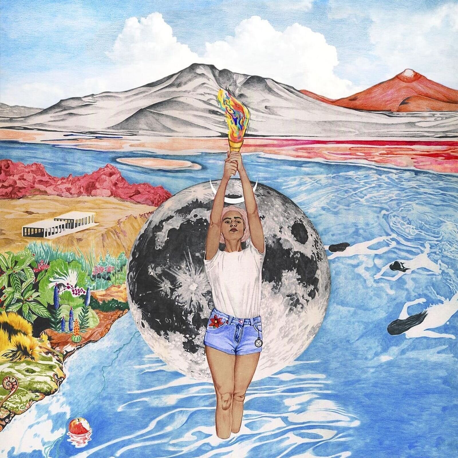 Disco de vinil Wallis Bird - Woman (LP)