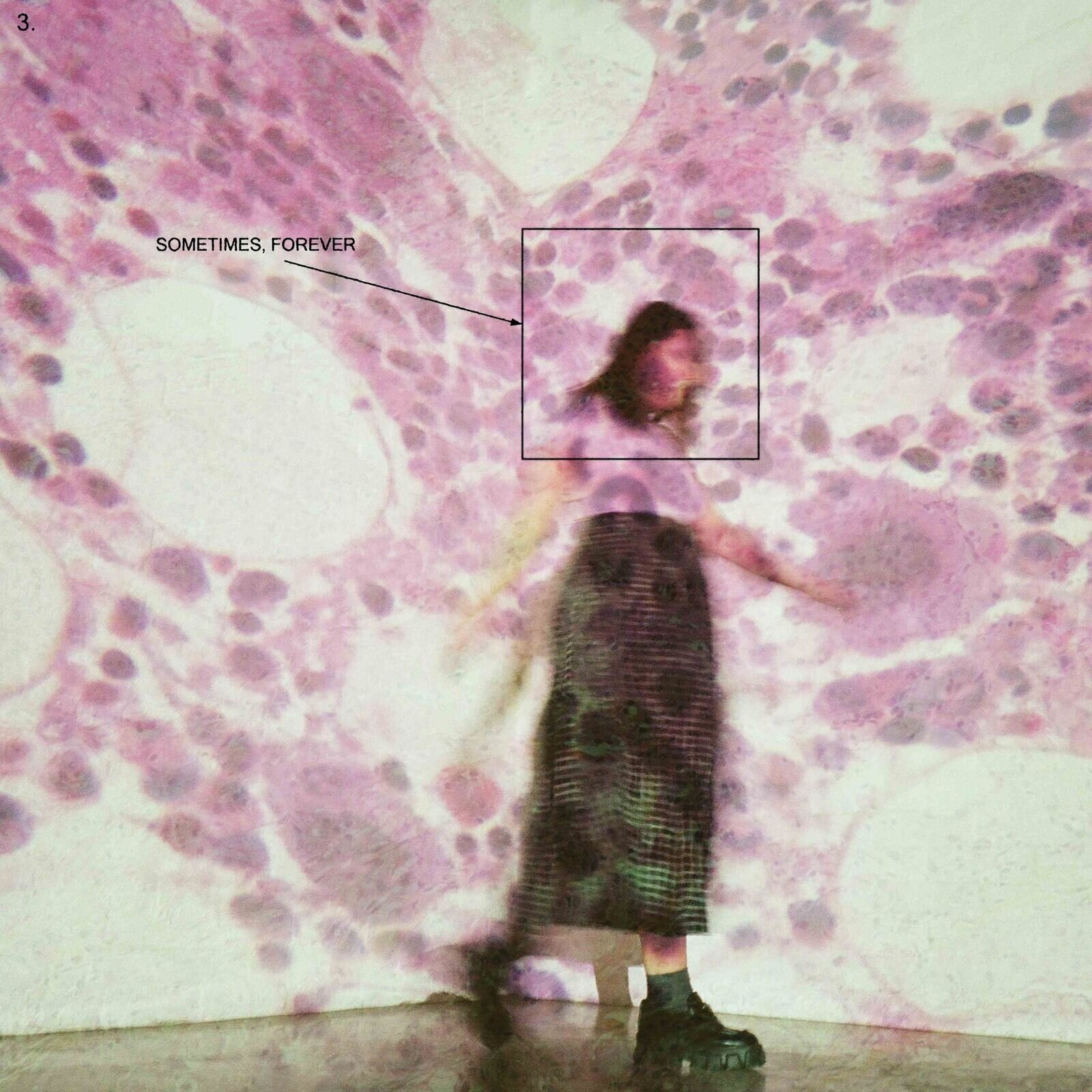 Disco de vinilo Soccer Mommy - Sometimes, Forever (LP)