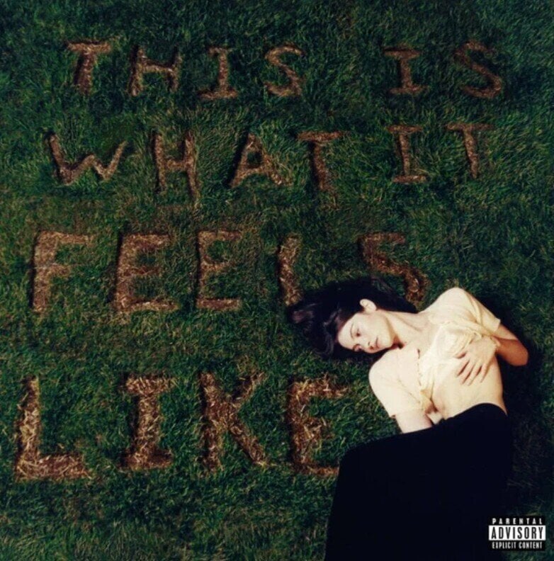 Vinylplade Gracie Abrams - This Is What It Feels Like (LP)