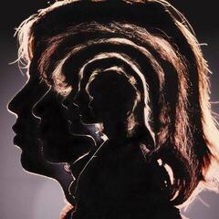 Vinylskiva The Rolling Stones - Hot Rocks 1964-1971 (Reissue) (2 LP)