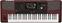 Professional Keyboard Korg Pa1000 Professional Keyboard (Like new)