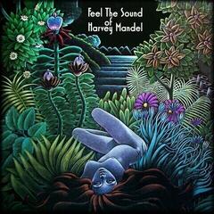 LP ploča Harvey Mandel - Feel The Sound (Splatter Coloured) (LP)