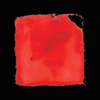 LP ploča Salvia Palth - Last Chance To See (LP) - 1