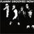 Vinyl Record Flamin' Groovies - Now (Blue and Black Splatter Coloured) (LP)