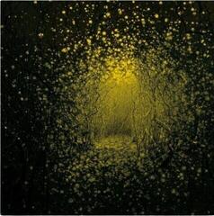 Hanglemez Antlers - Burst Apart (Lemonade Coloured) (LP)