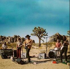 LP ploča Night Beats - Levitation Sessions (Emerald / Bone Splatter Coloured) (LP)