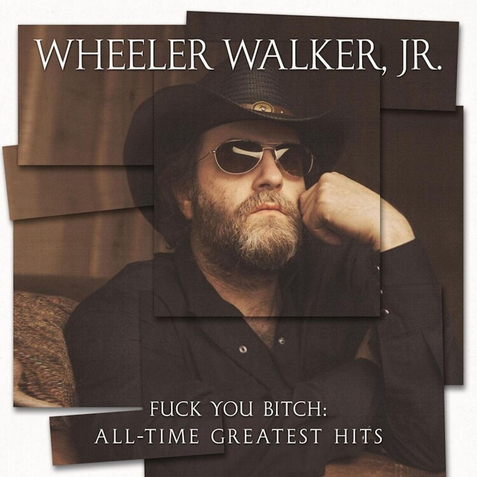 LP ploča Wheeler Walker Jr. - Fuck You Bitch: All-Time Greatest Hits (LP)