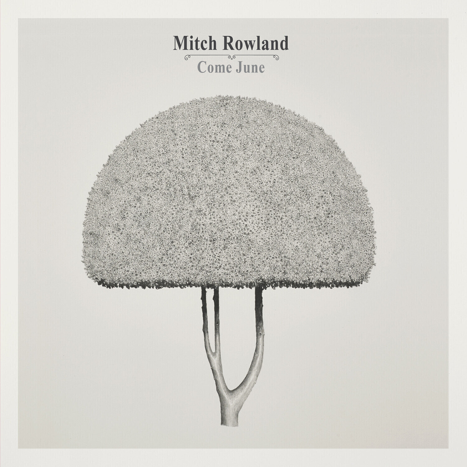 LP Mitch Rowland - Come June (LP)