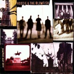 LP ploča Hootie & The Blowfish - Cracked Rear View (Reissue) (LP)