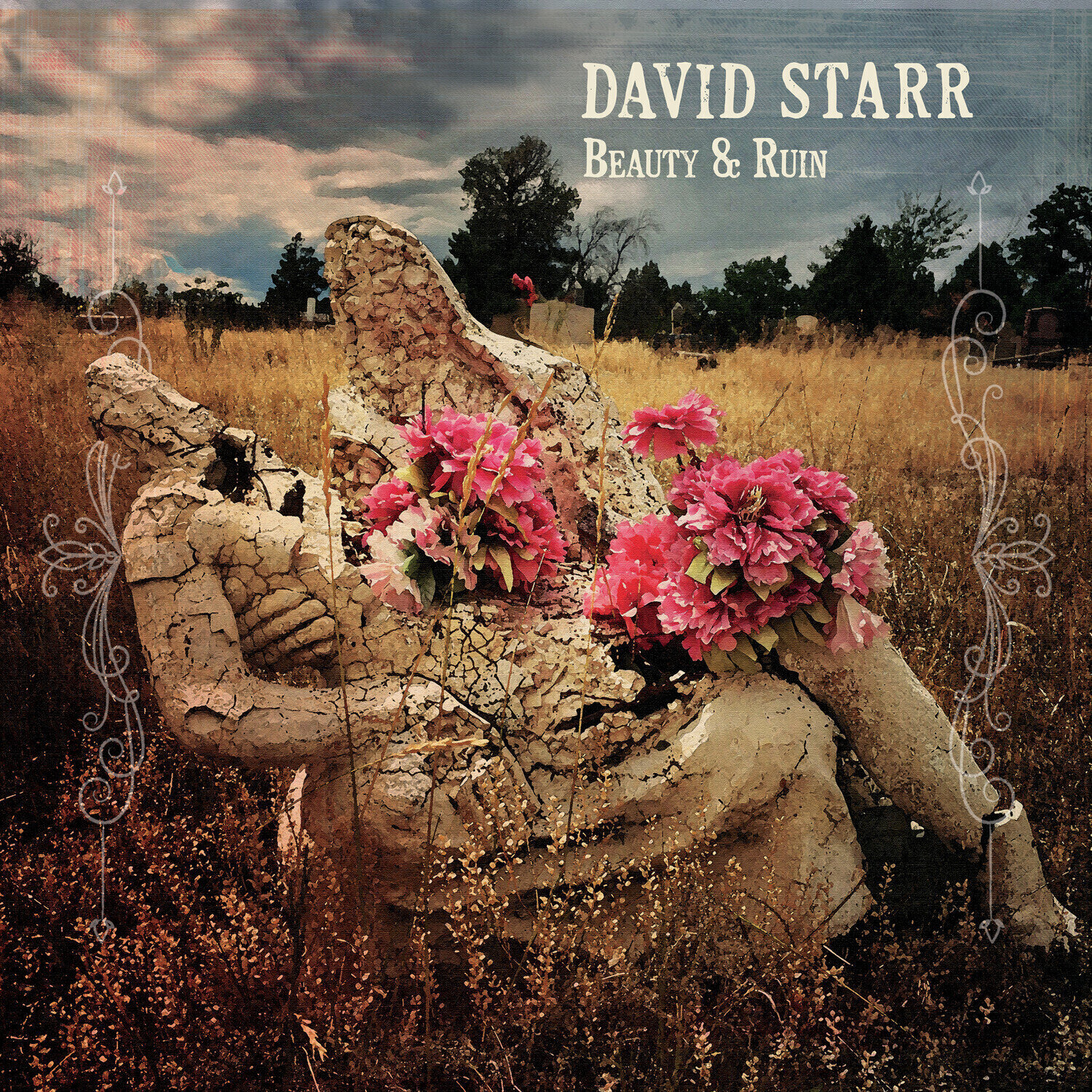 LP David Starr - Beauty & Ruin (LP)