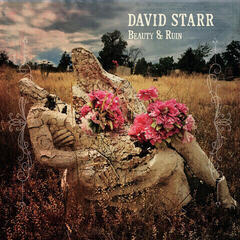 LP ploča David Starr - Beauty & Ruin (LP)