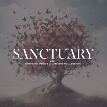 LP Various Artists - Sanctuary Vol. 1 / Various (LP) - 1
