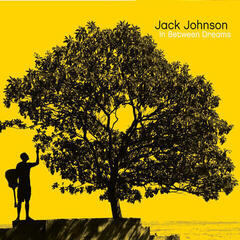 LP ploča Jack Johnson - In Between Dreams (LP)
