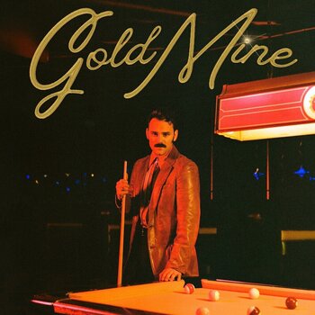 Vinyl Record Stephen Day - Gold Mine (LP) - 1