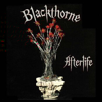 LP ploča Blackthorne - Afterlife (180g) (Gatefold Sleeve) (Reissue) (2 LP) - 1