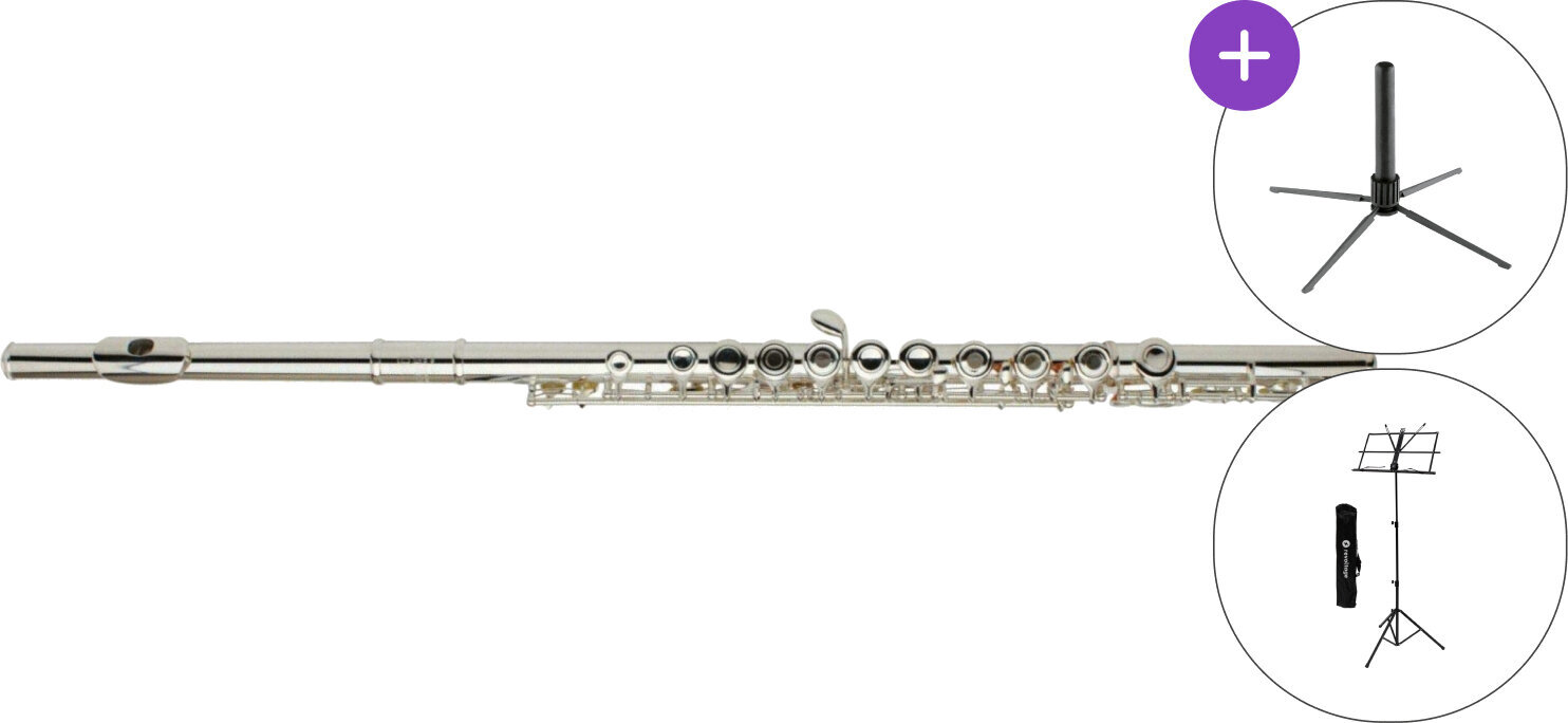 Koncertna flauta Roy Benson FL-402R SET Koncertna flauta