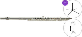 Concert flute Roy Benson FL-402R SET Concert flute