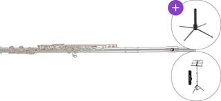 Concert flute Roy Benson FL-602E SET Concert flute