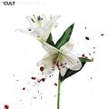 The Cult - Hidden City (Limited Edition) (Remastered) (White/Red Coloured) (2 LP)