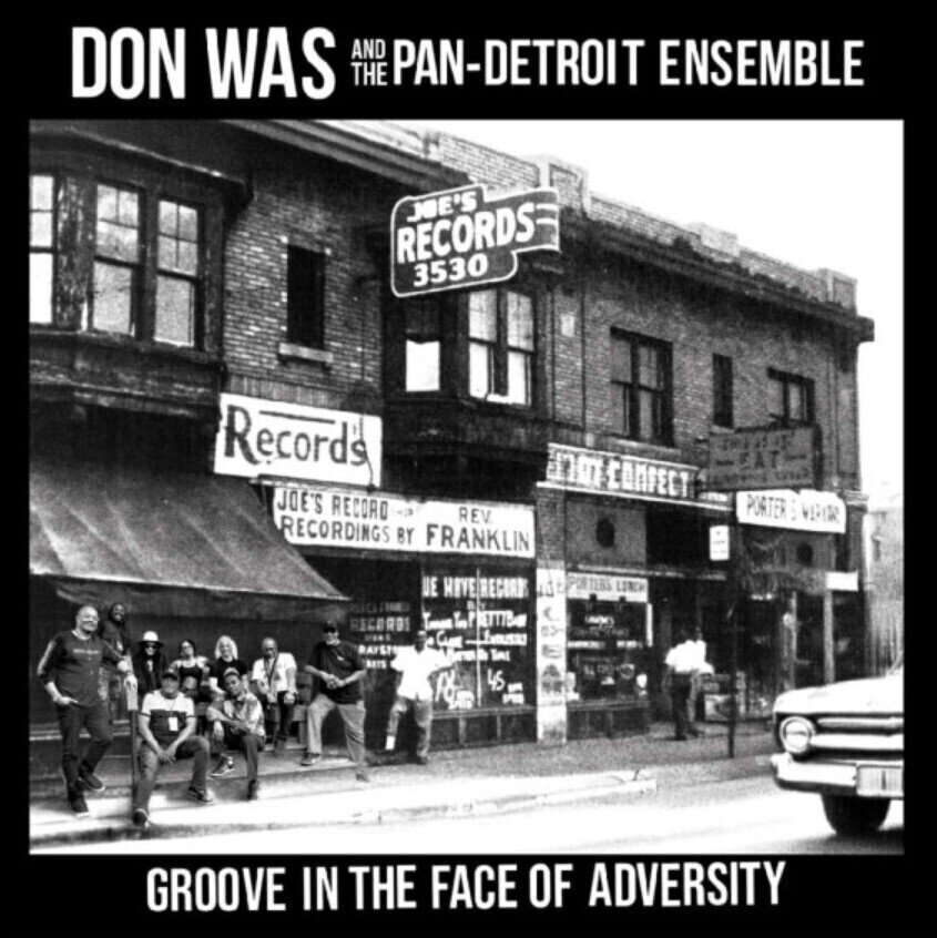 LP ploča Don Was - Groove In The Face Of Adversity (180 g) (LP)