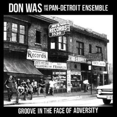 LP ploča Don Was - Groove In The Face Of Adversity (180 g) (LP)