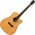 Akustikgitarre Pasadena PDC-300 Natural Satin Akustikgitarre