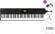 Studiologic SL88 mk2 SET MIDI-Keyboard Black