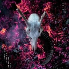 Disc de vinil Colin Stetson - The Love It Took To Leave You (Gatefold Sleeve) (2 LP)