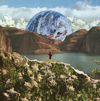 Disc de vinil River Whyless - Monoflora (LP) - 1