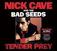 CD muzica Nick Cave & The Bad Seeds - Tender Prey (Remastered) (CD)