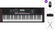 Roland E-X10 SET Keyboard mit Touch Response