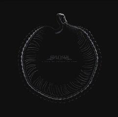 Hanglemez Sylosis - A Sign Of Things To Come (Limited Edition) (White Coloured) (LP)