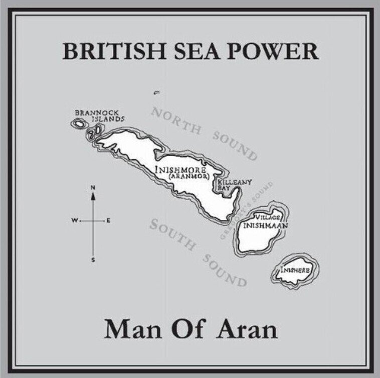 LP ploča British Sea Power - Man Of Aran (Yellow/Blue Coloured) (2 LP)