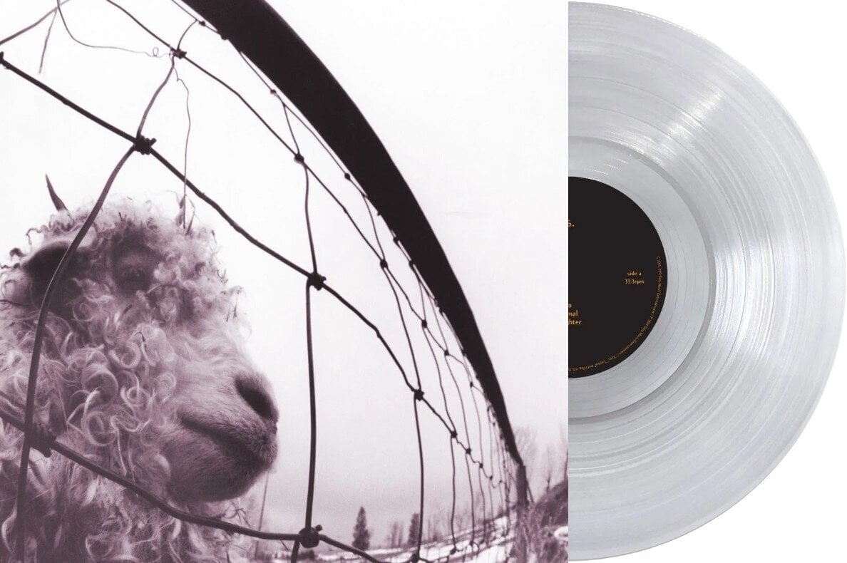 LP platňa Pearl Jam - Vs. (Clear Coloured) (LP)