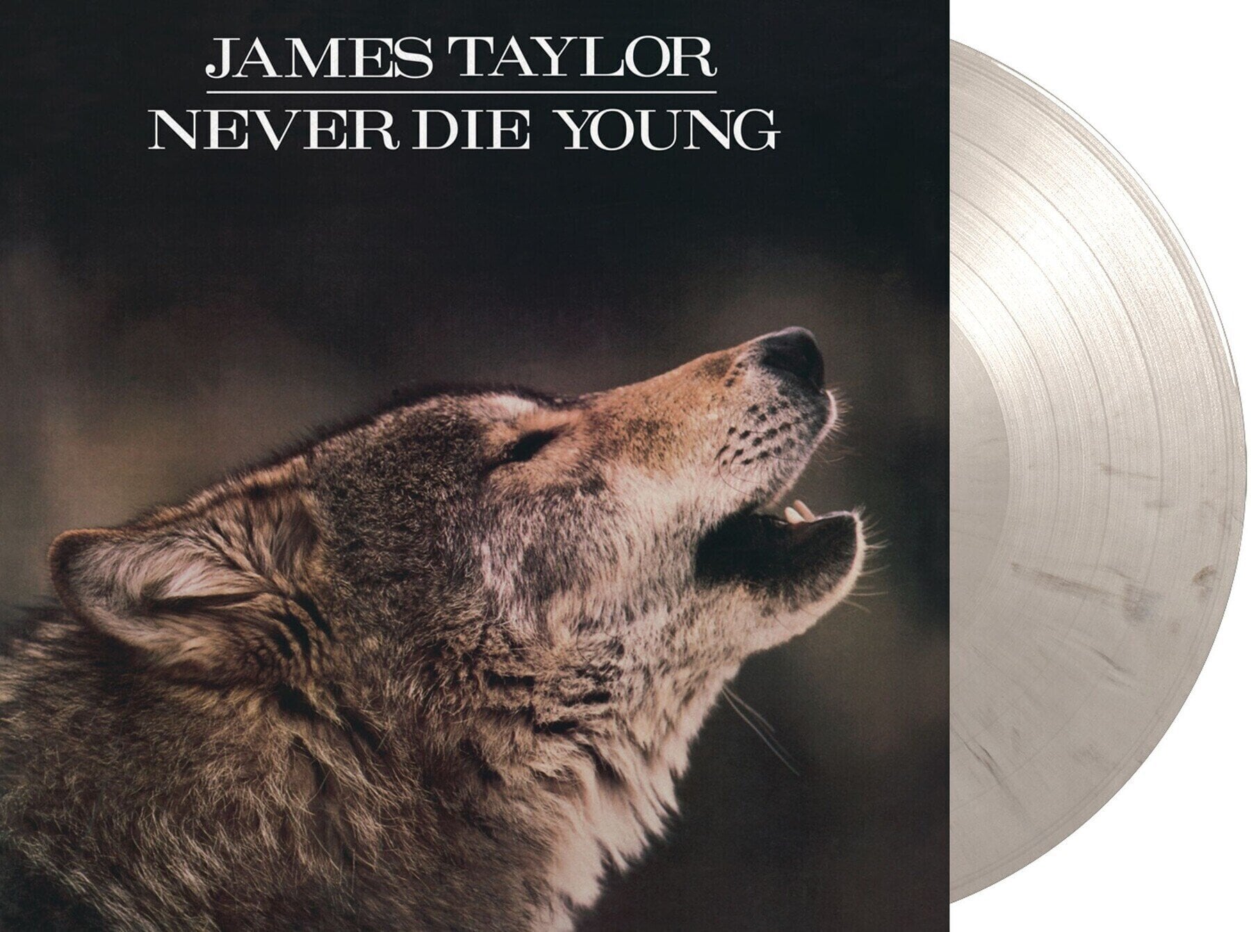 Disc de vinil James Taylor - Never Die Young (Limited Edition) (White & Black Marbled) (LP)