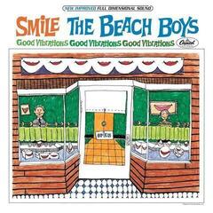 LP deska The Beach Boys - The Smile Sessions (Mono) (180g) (2 LP)